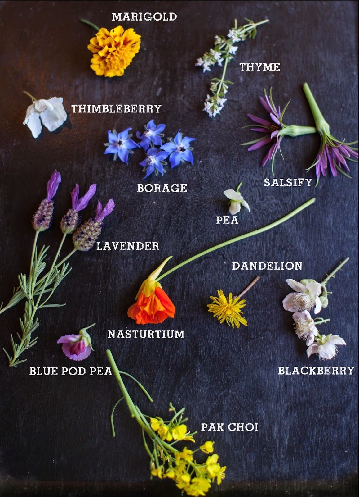 crackers on the couch: flowers for breakfast | chalkboard fun