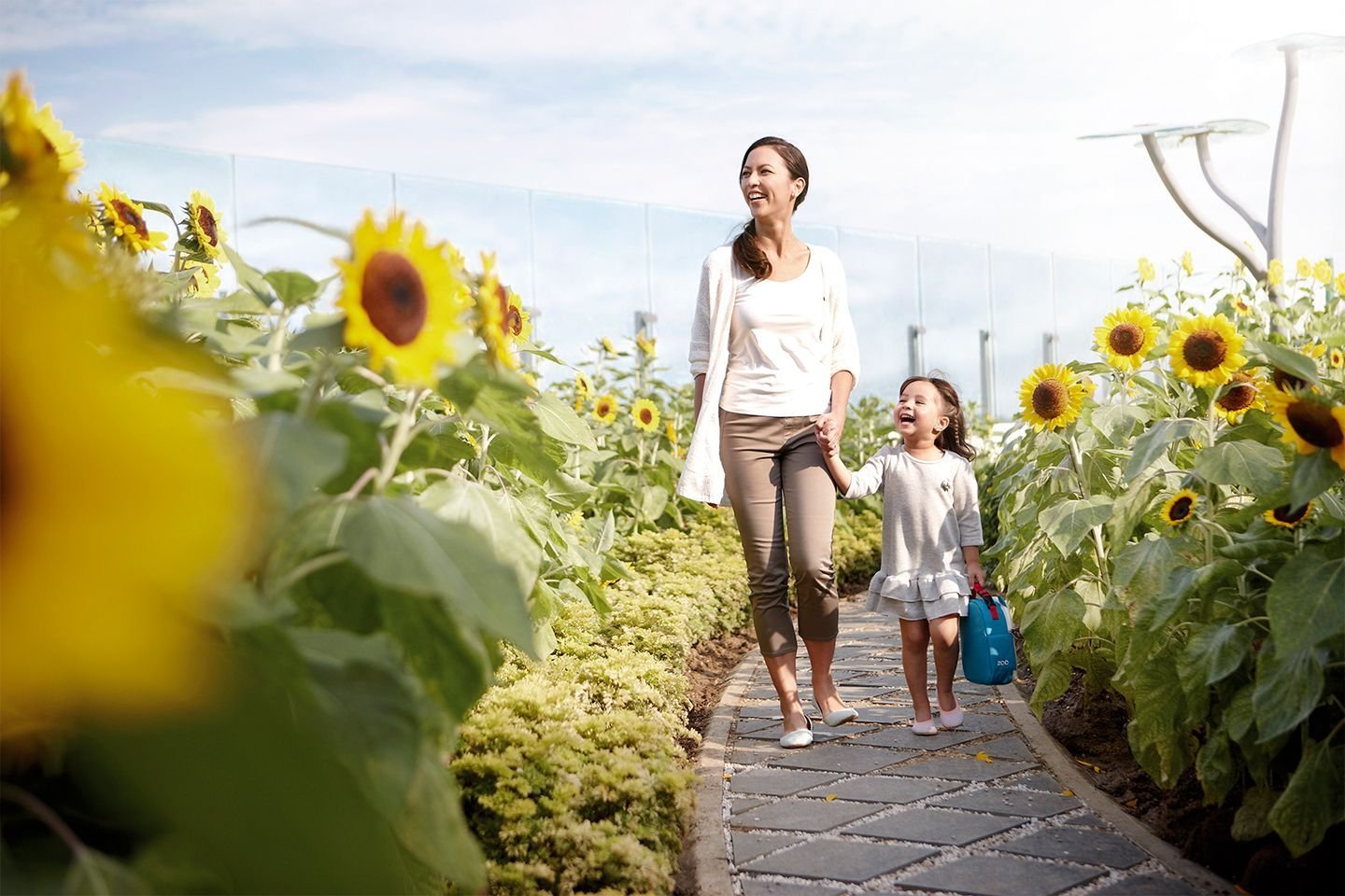 sunflower garden. changi airport | airports i 2019