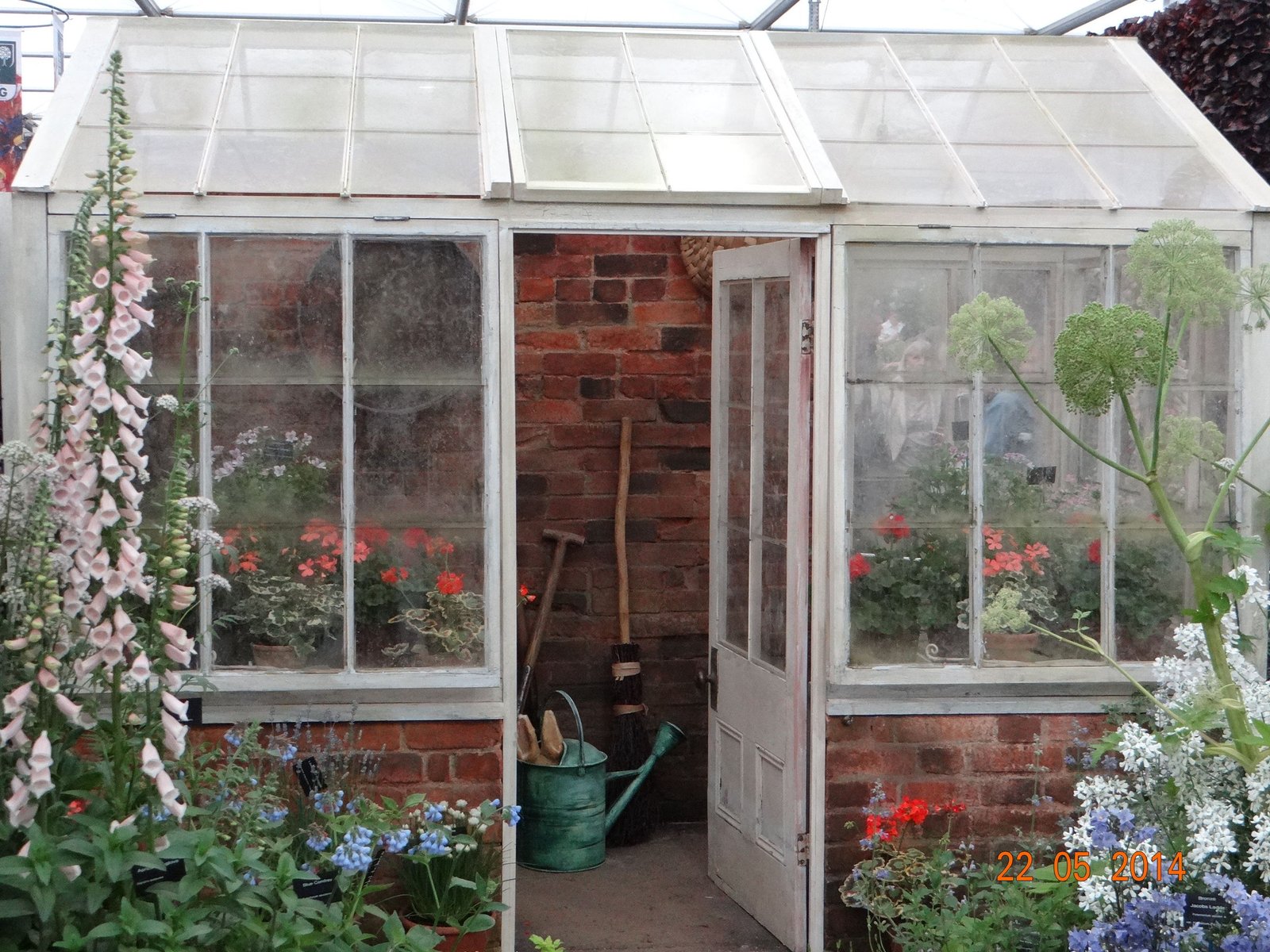 beatrix potter greenhouse from chelsea flower show | new patio