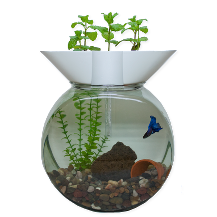 GroPonix Mini aquaponic system for small aquariums. Filter ...