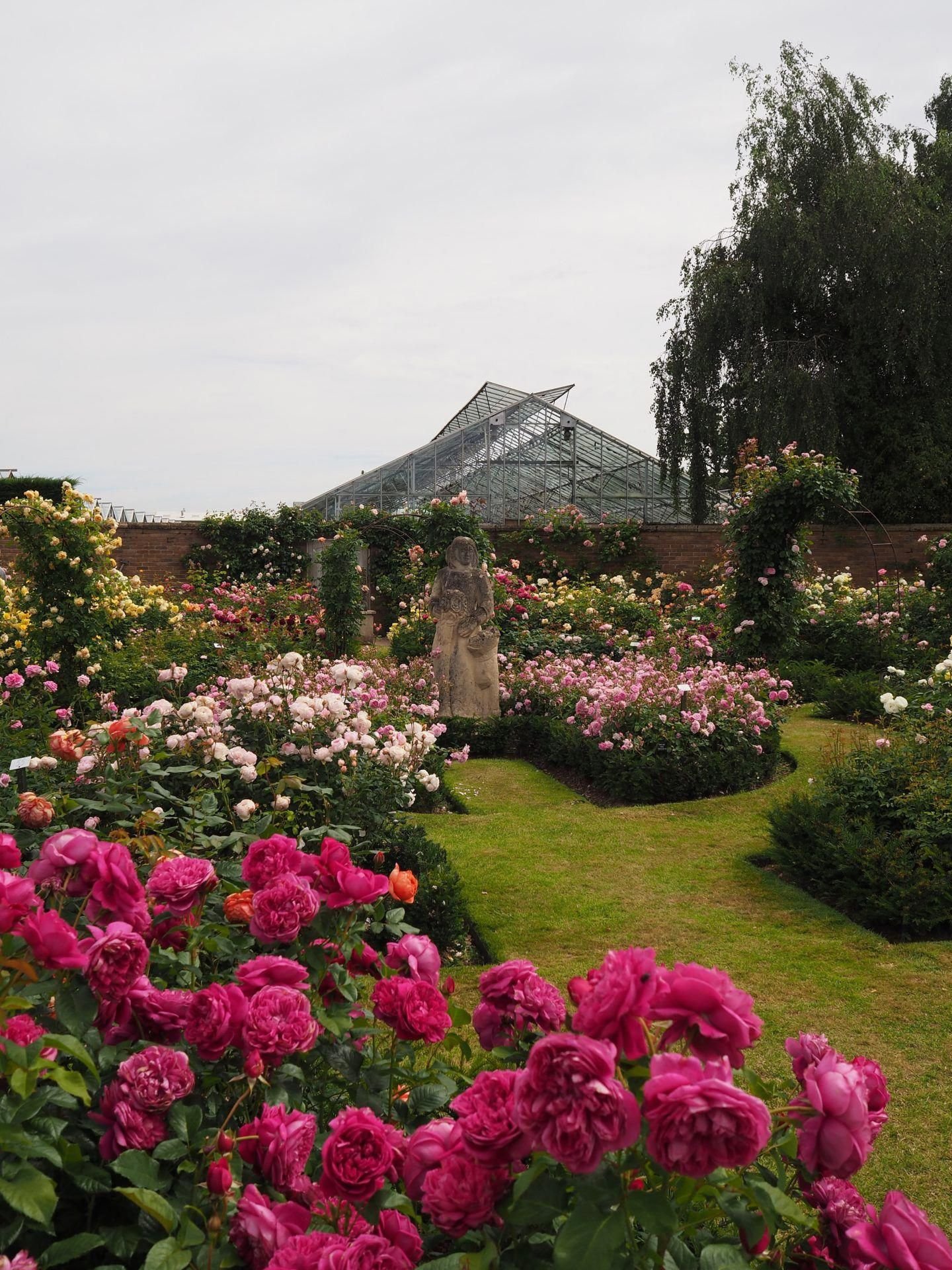 gardening classes near me #gardeninginlasvegas post:8987133540