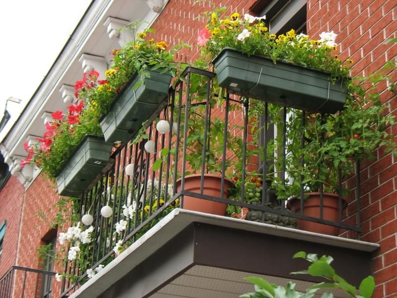 balcony gardens - google search | small balcony garden, balcony