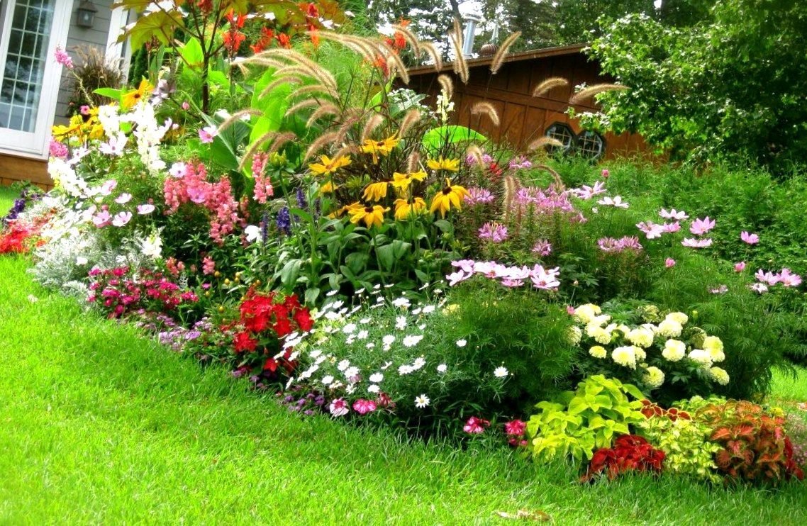 front yard landscaping ideas for south texas surge pack front lawn
