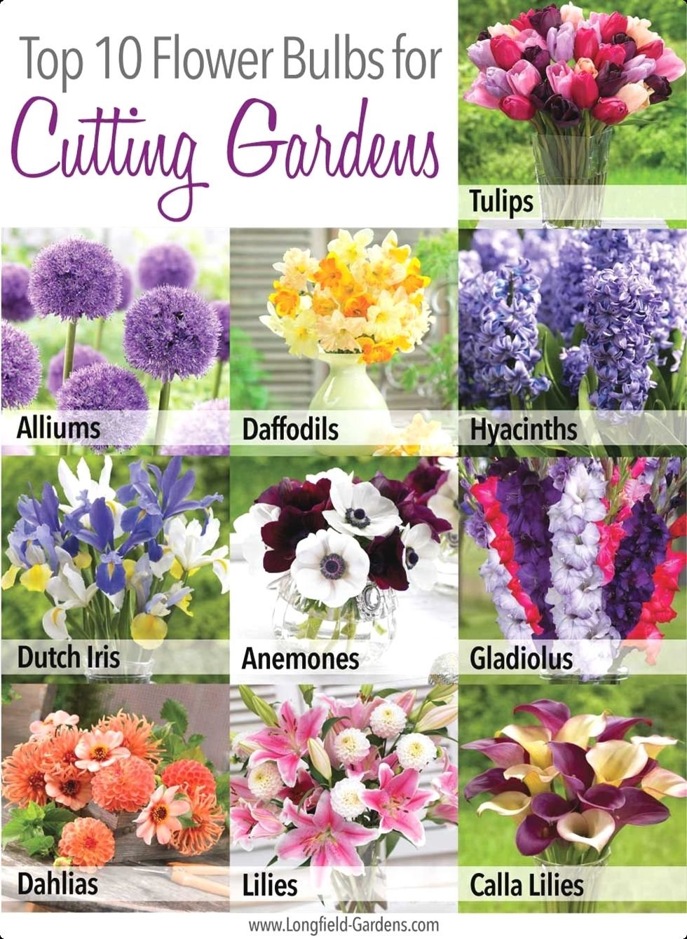 small flower garden in front of house | flower garden | cut flower
