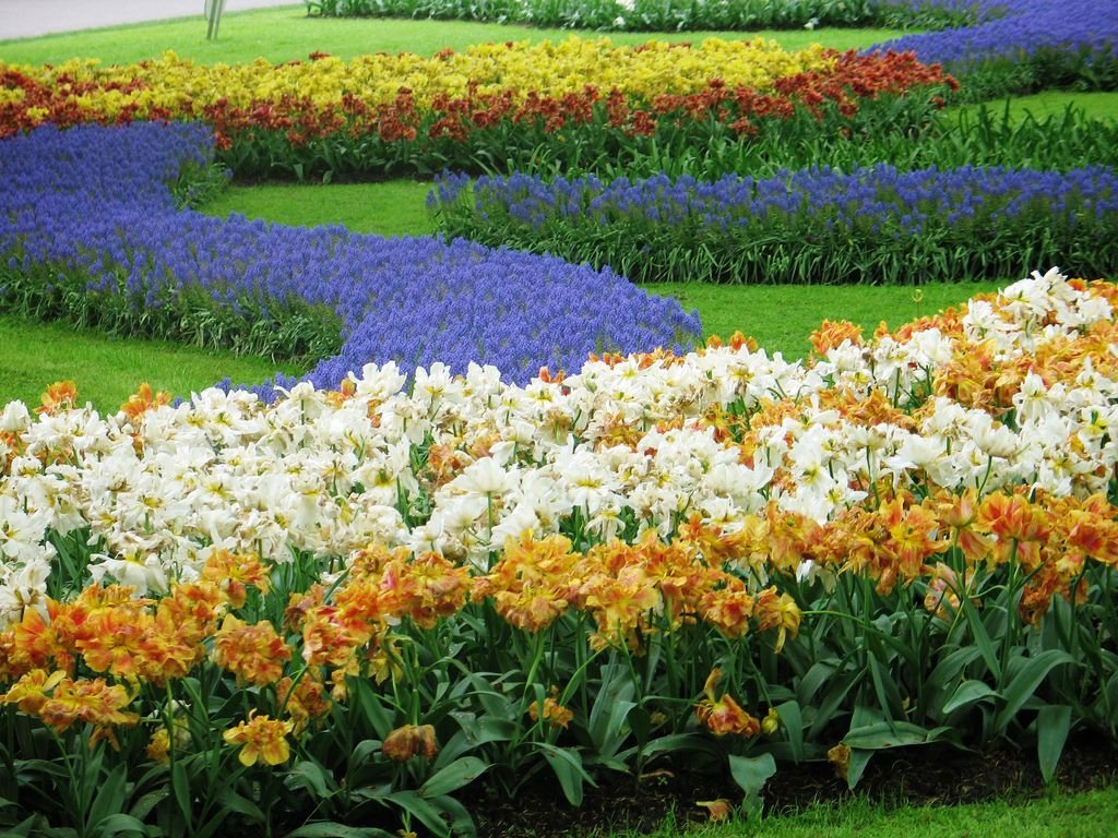 world's largest flower garden. | in the garden | flowers, beautiful