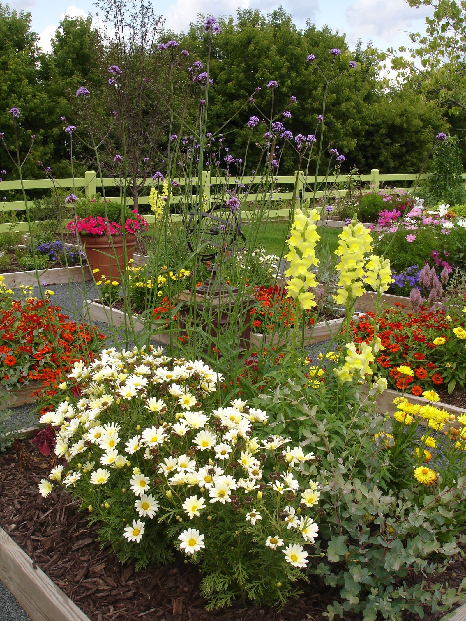 the cutting garden. "a place to play." summer, annuals, raised