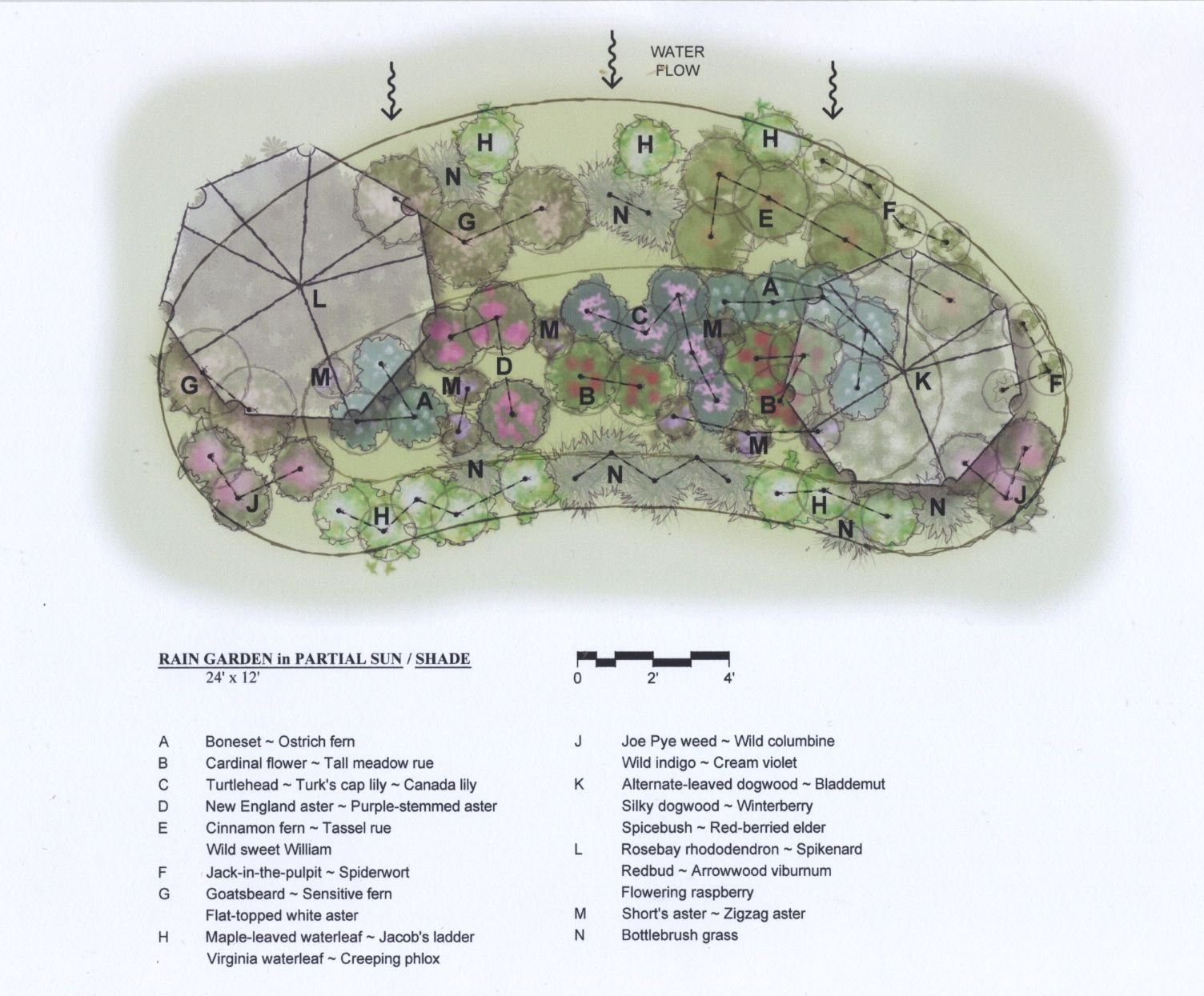 shade landscaping plans | partial shade garden ideas photograph