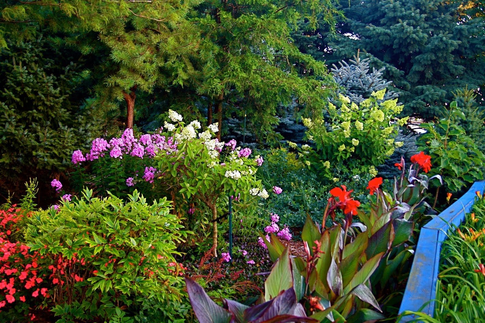 summer garden images | conrad art glass & gardens: scenes from the