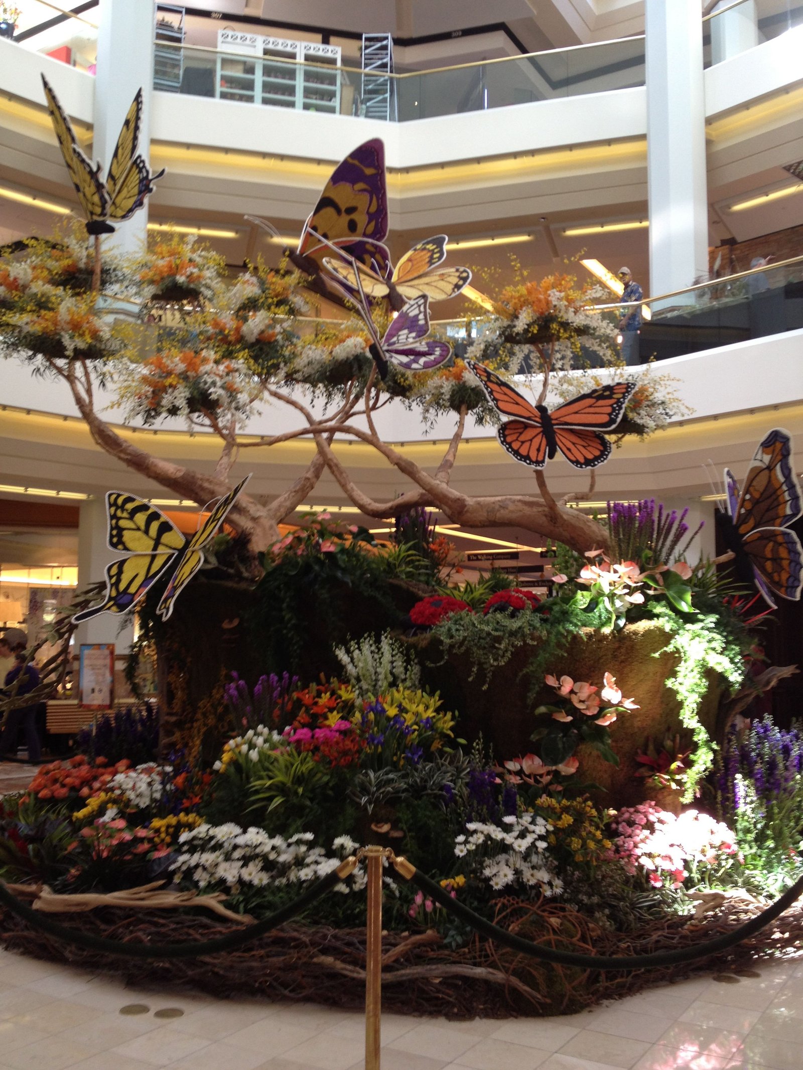 a closeup of the stunning gardening display at the spring garden