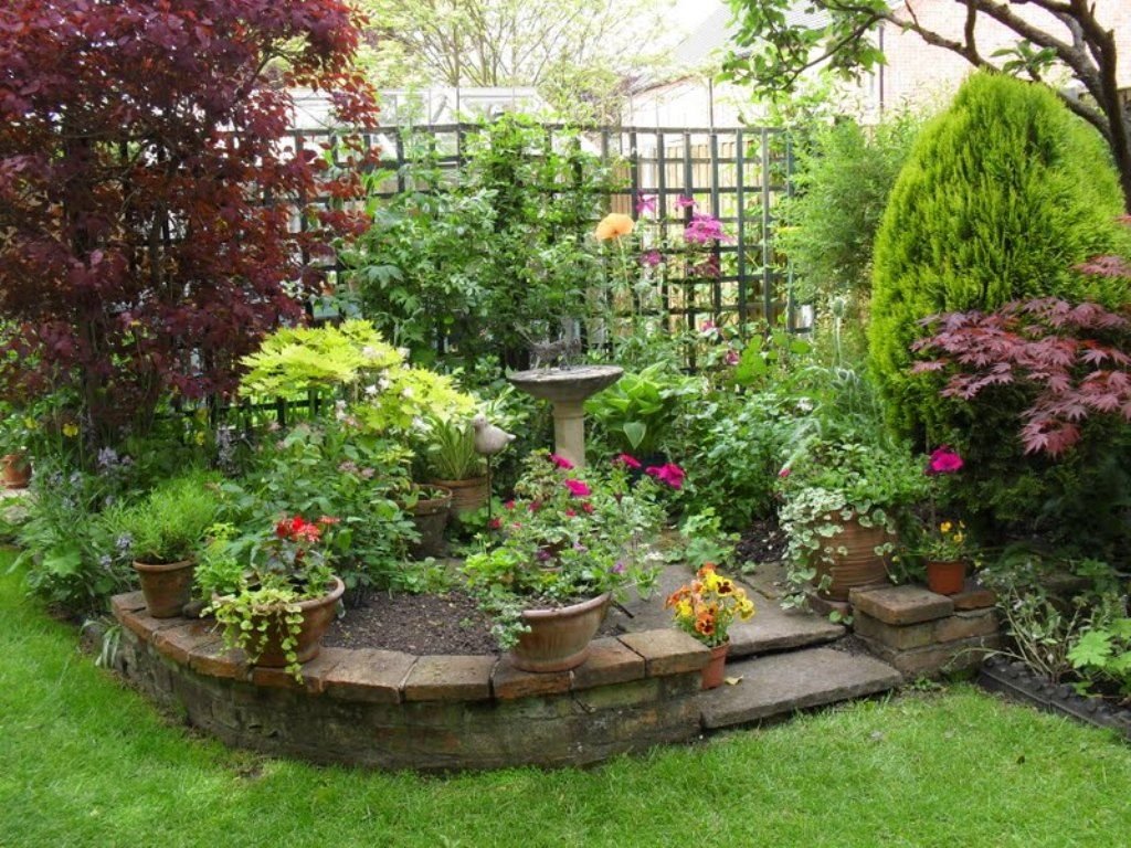 best plants for a small garden dazzling design inspiration how to