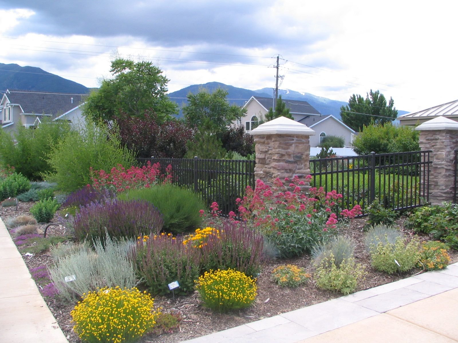 desert horticulture - dixie gardener - dixiegardener