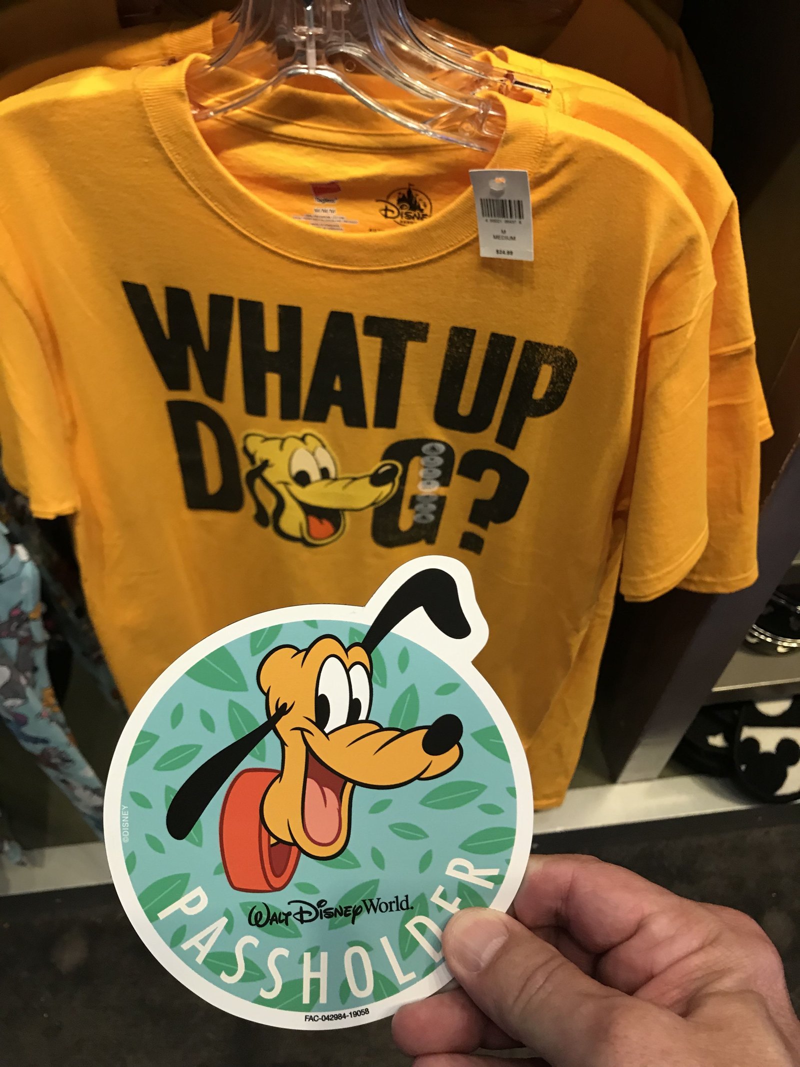passholder magnet number one 2019 epcot flower and garden | wdw fl