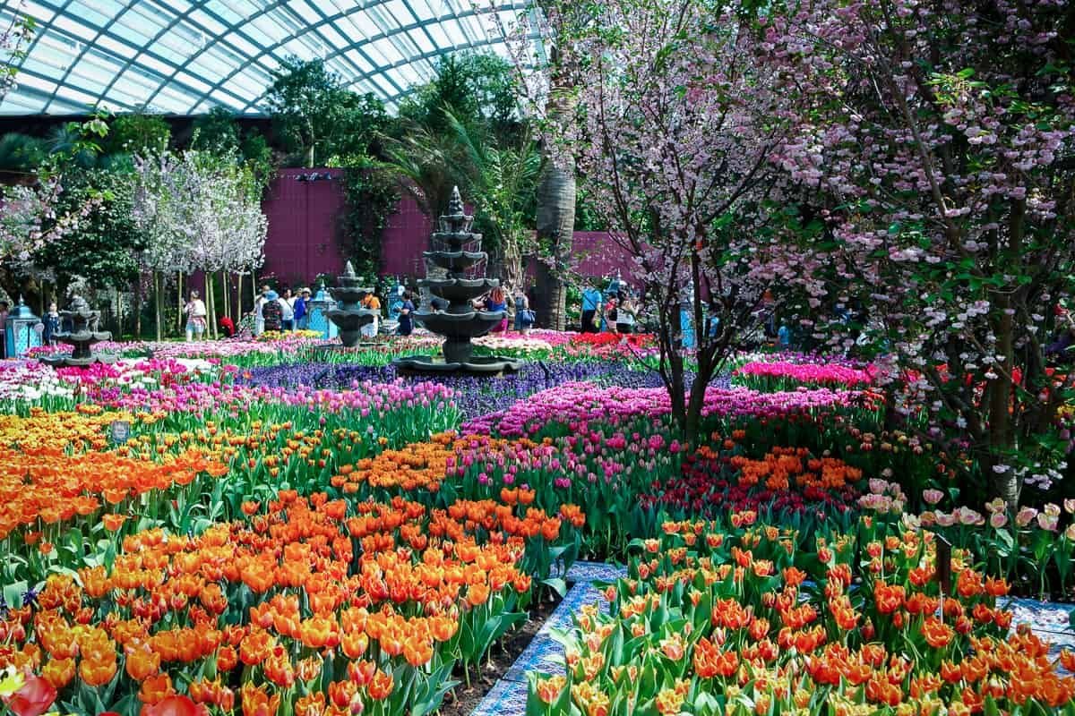 mind-boggling gardens by the bay in singapore | magical places to