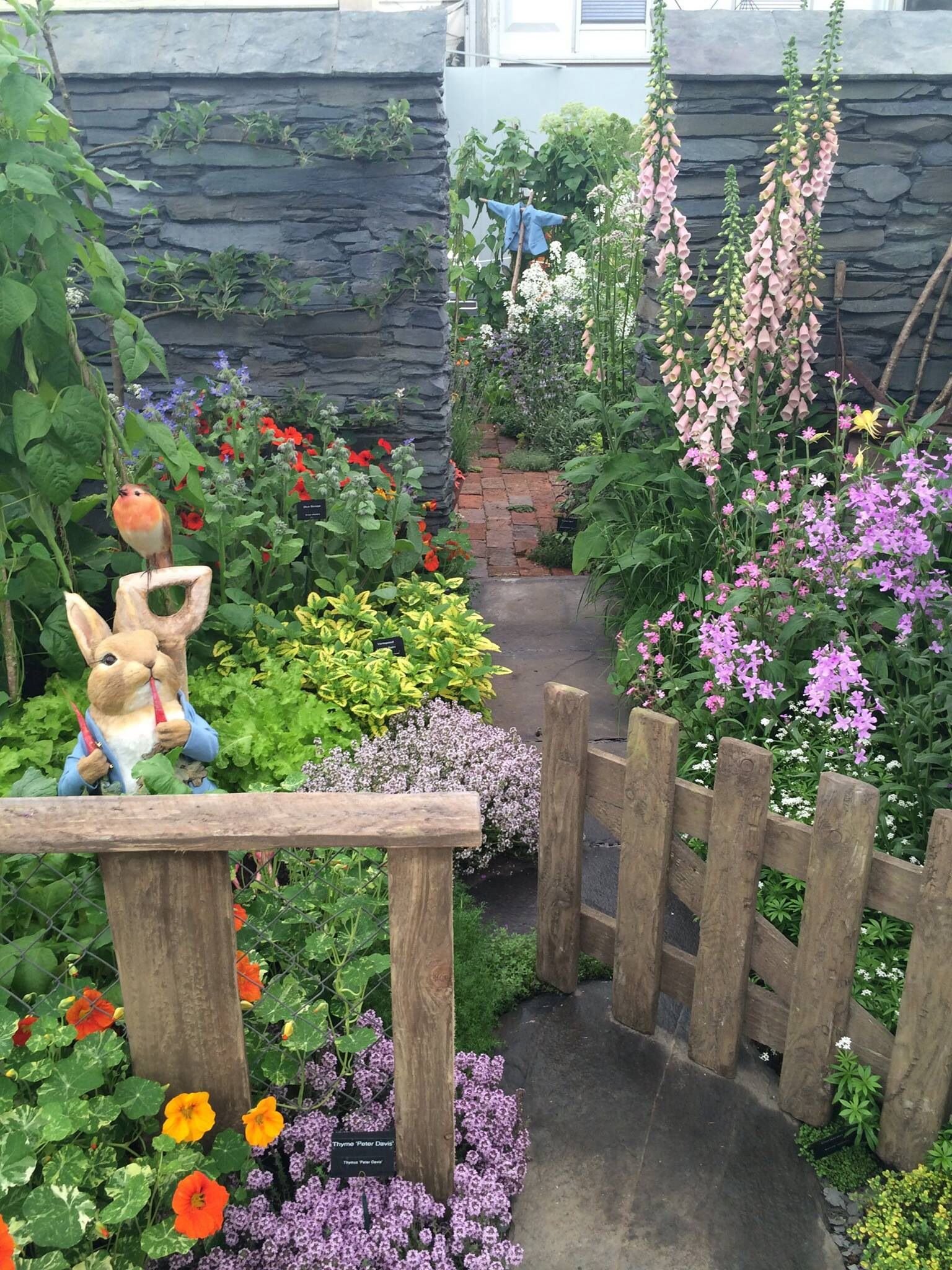 peter rabbit garden | garden | rabbit garden, garden, vegetable garden