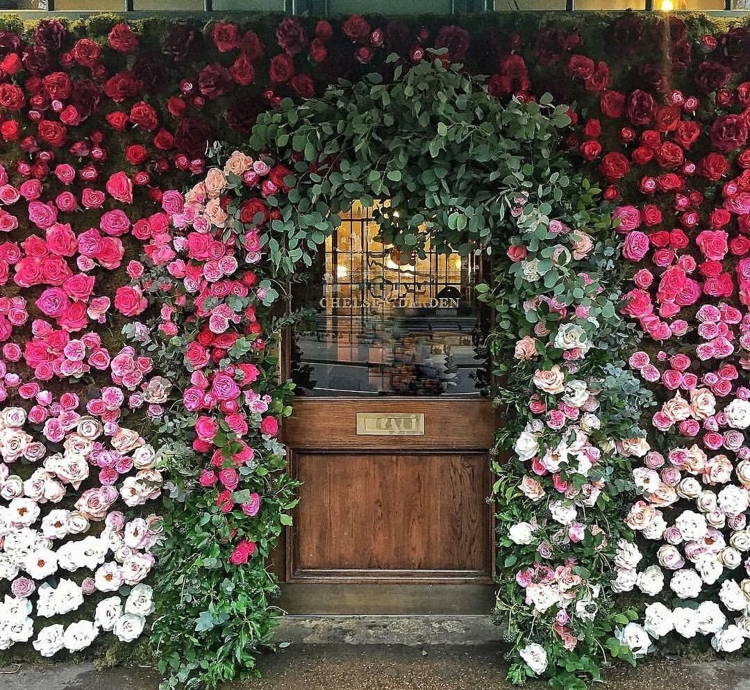 ivy chelsea garden london | life's wish list! | chelsea garden, the
