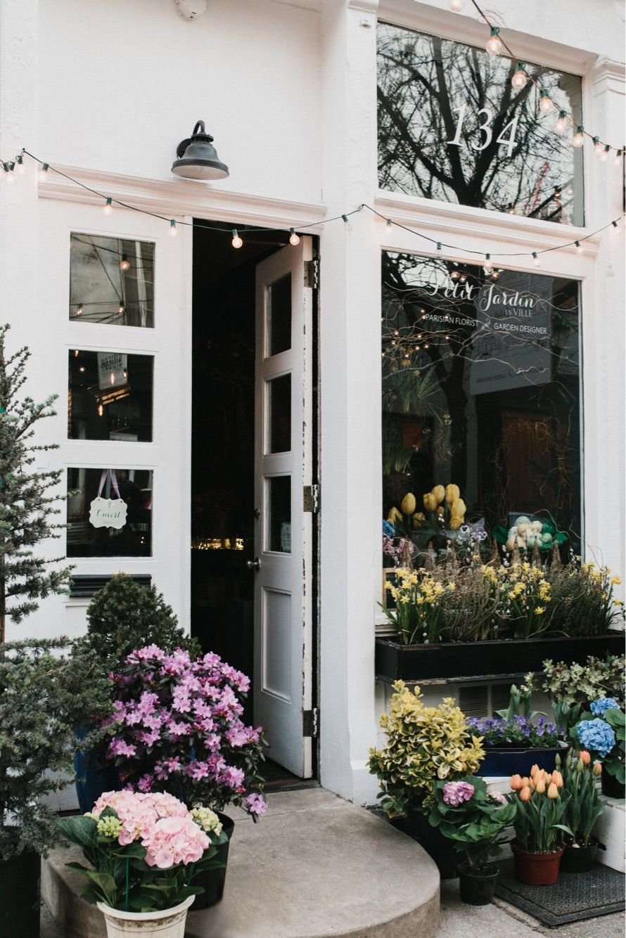 pinterest @catherinesullivan2017✨ | flower power | flowers, flower