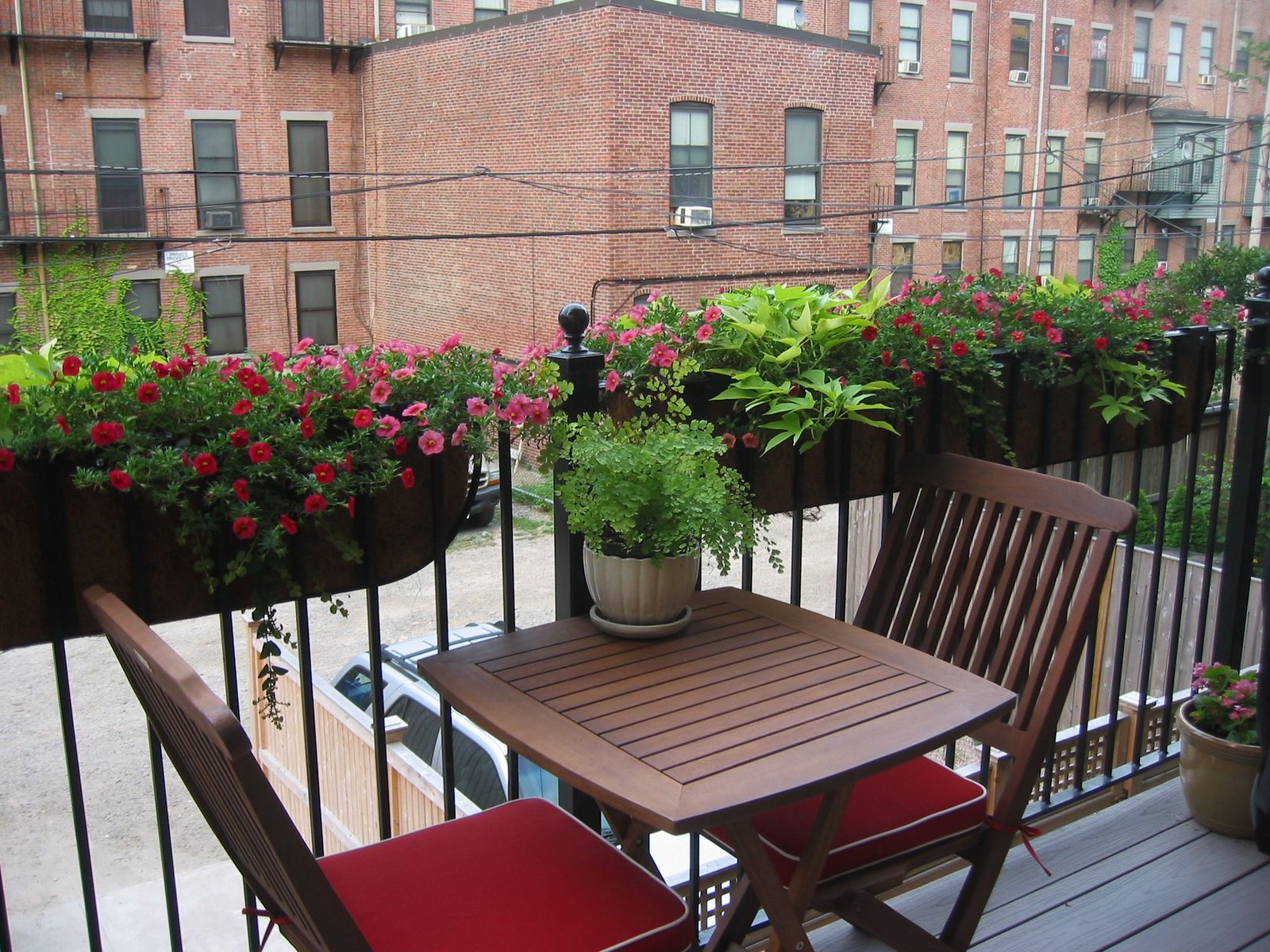 window box contest entry cathy's urban oasis | apartment garden