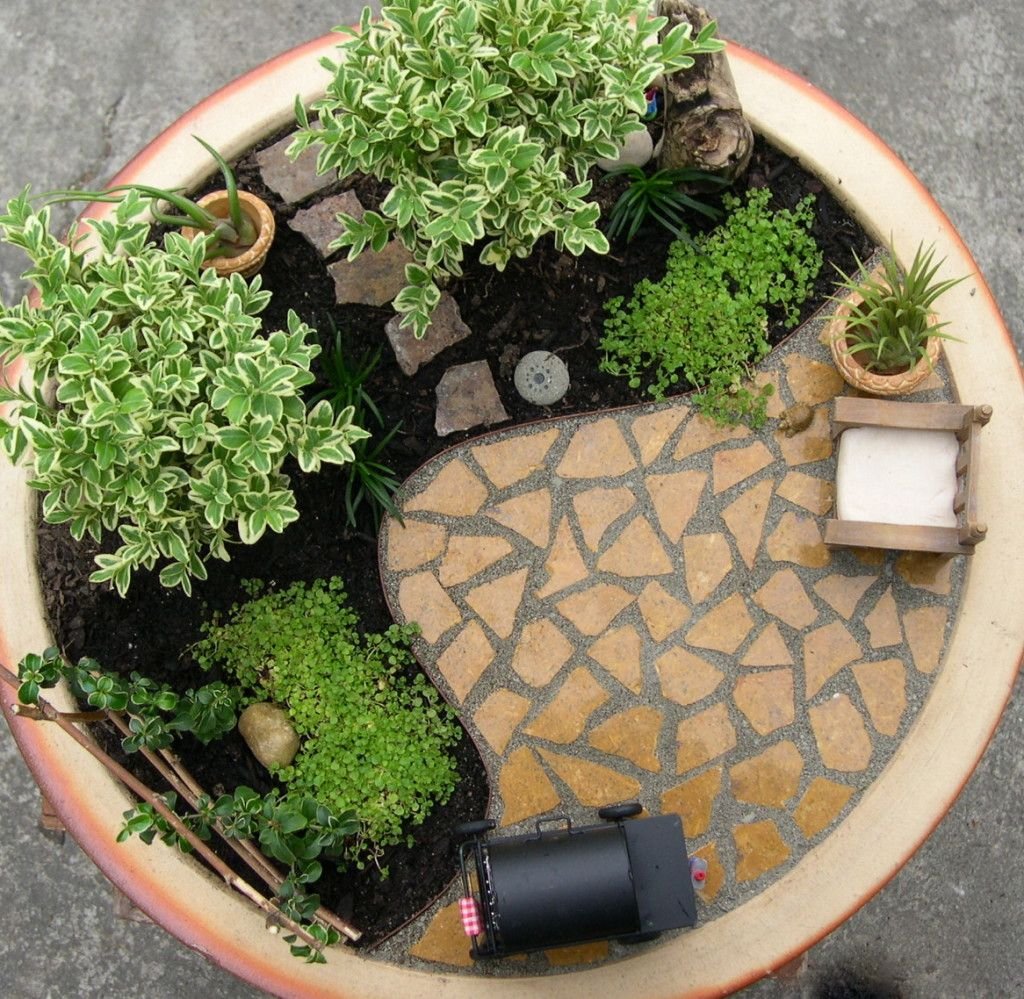 indoor mini garden design | indoor gardening | miniature fairy