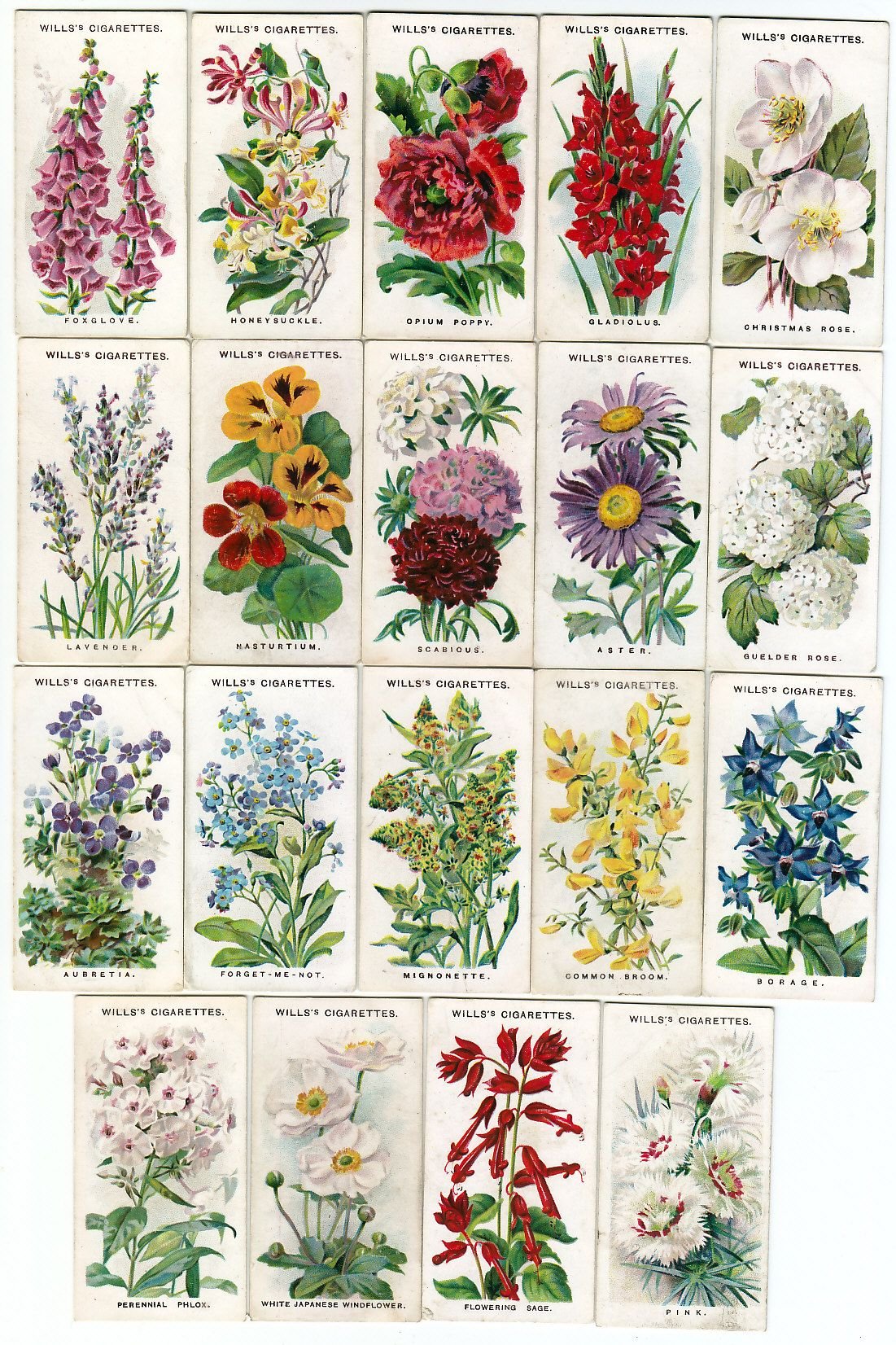 top ten easy-to-grow shade loving perennials | grow your life
