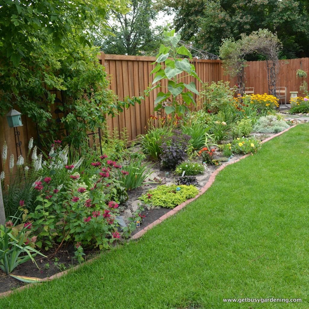 perennials made easy! how to create amazing gardens | tree seedlings