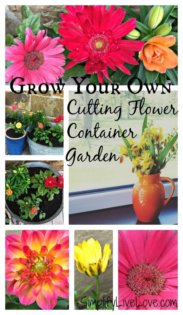 grow your own cutting flower container garden and enjoy fresh