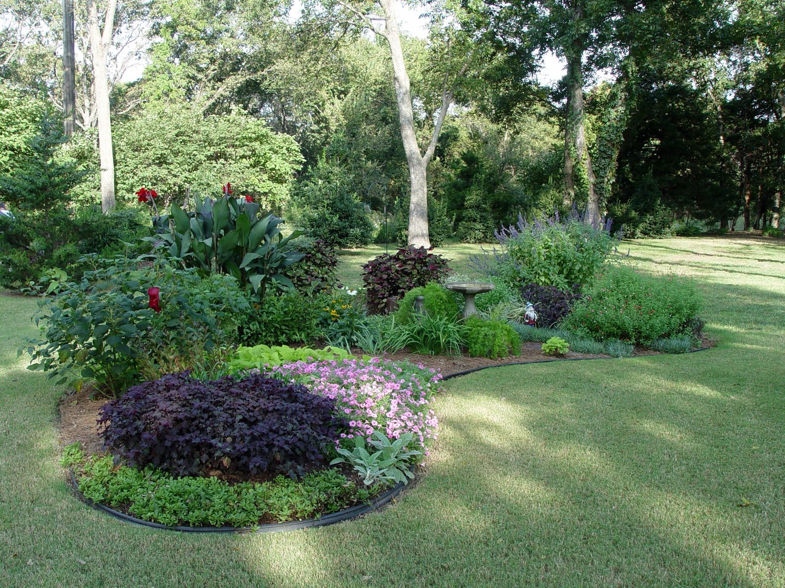 design an island bed | 1 1 1 gardening | garden, garden beds, lawn