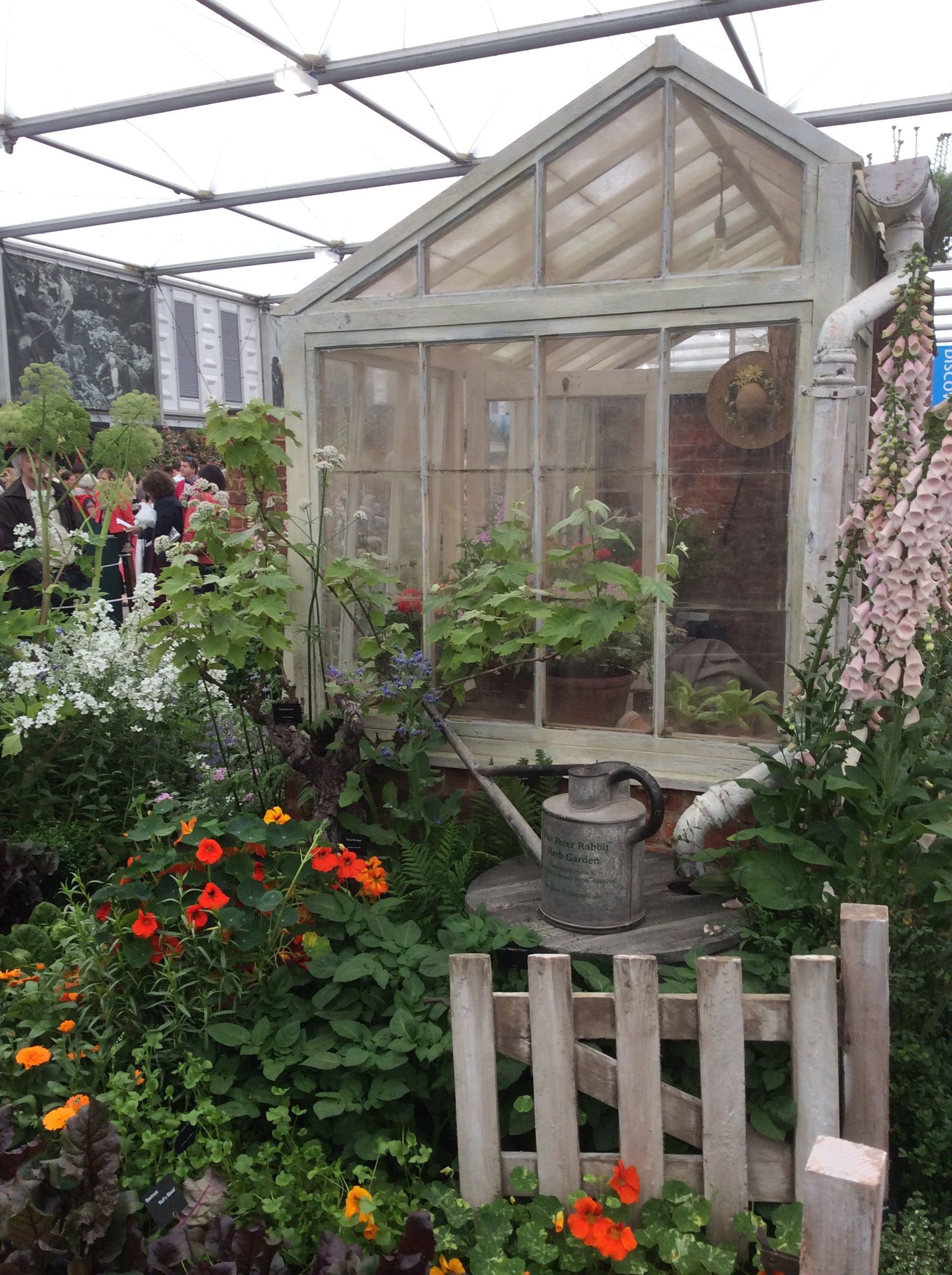 peter rabbit garden | chelsea flower show 2014 | rabbit garden