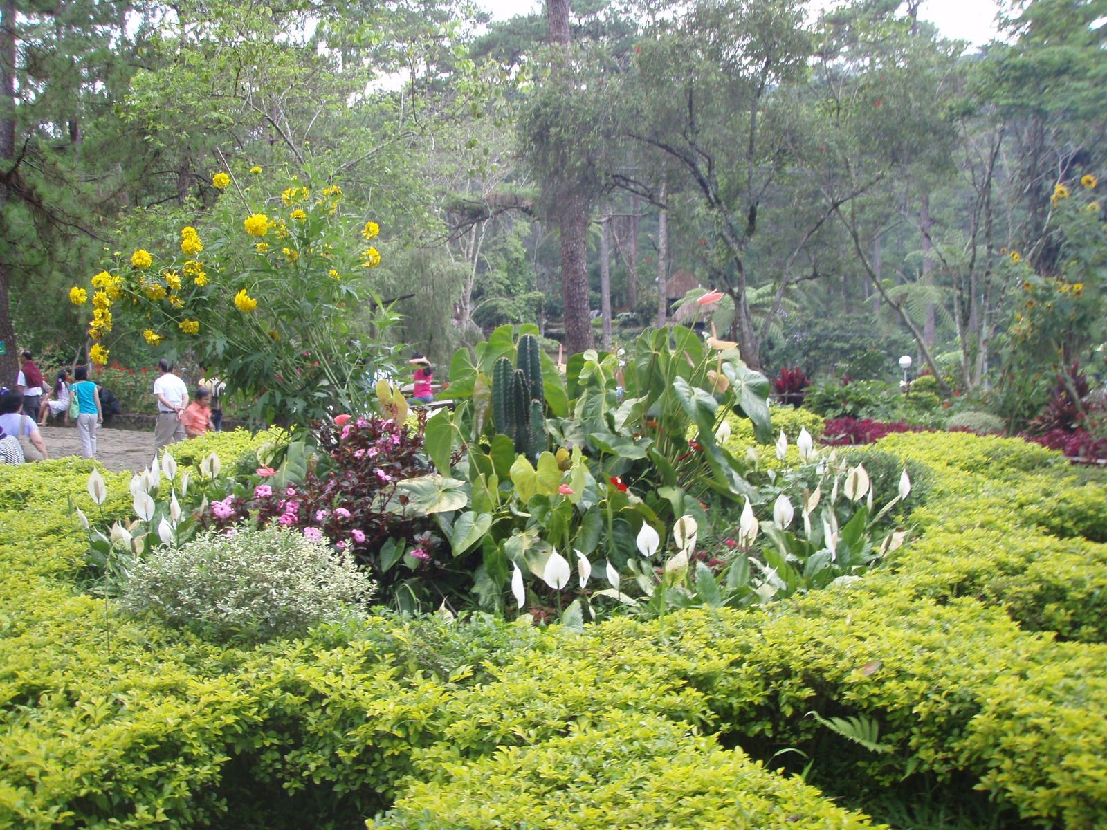 baguio botanical garden, baguio city, philippines | personal travels