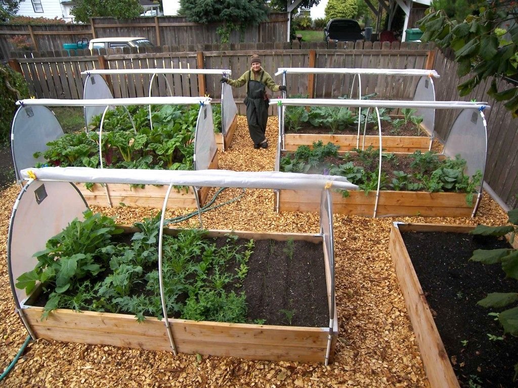 vegetable garden layout ideas ireland good looking small vegetable