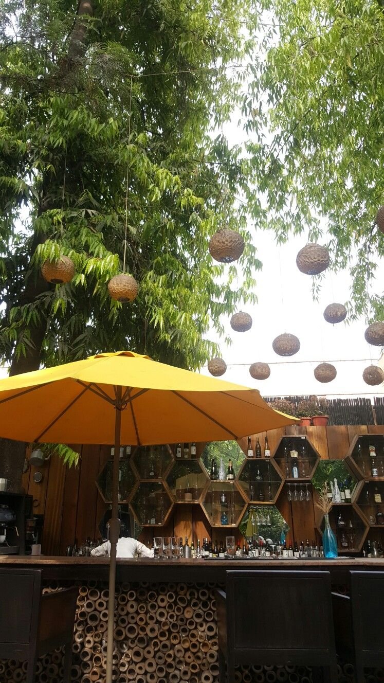 lodhi garden resturant; delhi | outdoor decor, patio, patio umbrella