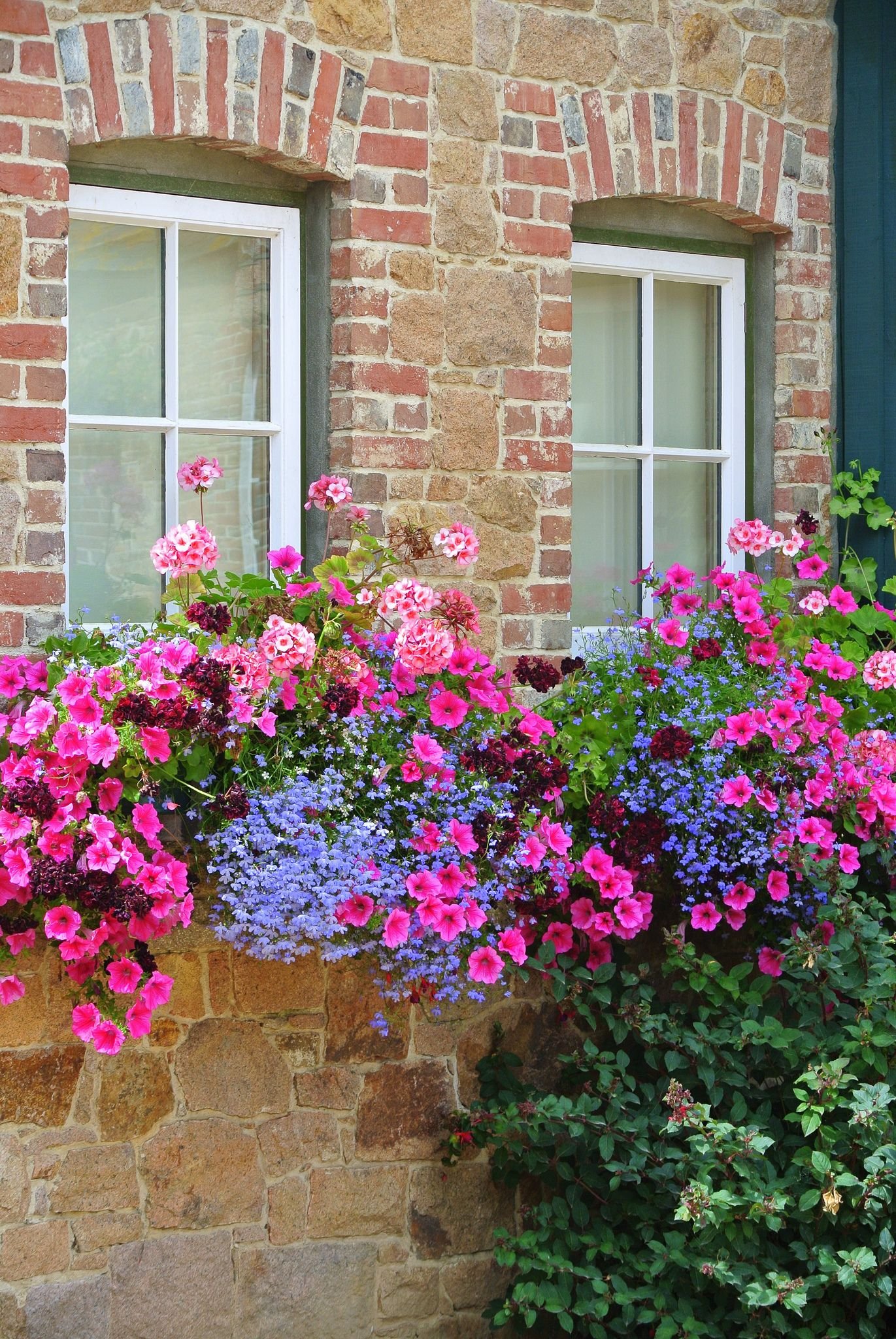untitled | flower pots & window boxes | window box flowers, window