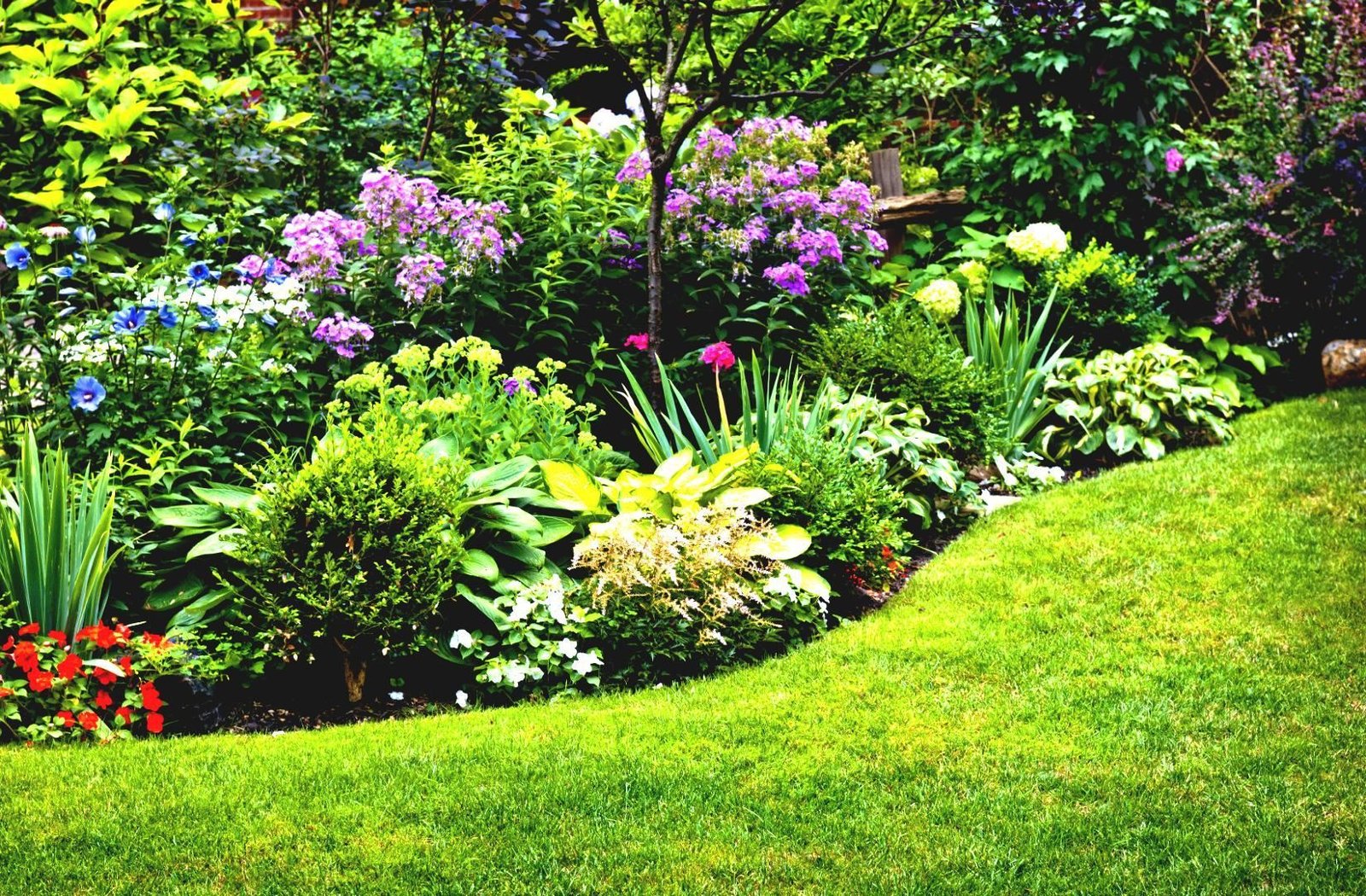 perennial garden ideas for full sun gardening plans landing flower