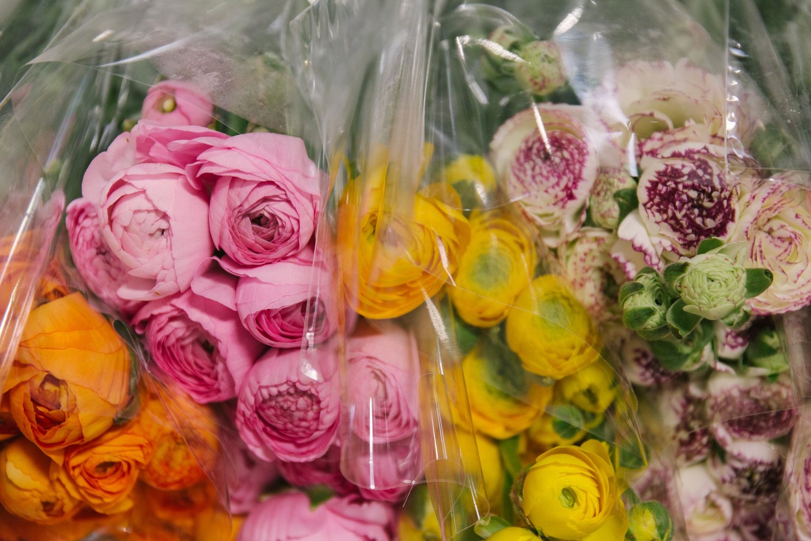 in season at the flower market this may | new covent garden market