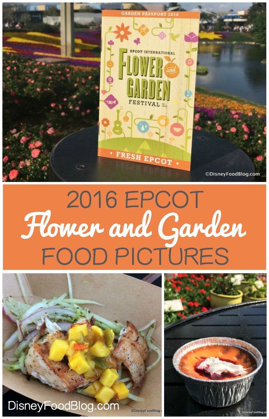 check out all of the food pictures from the 2016 epcot flower and