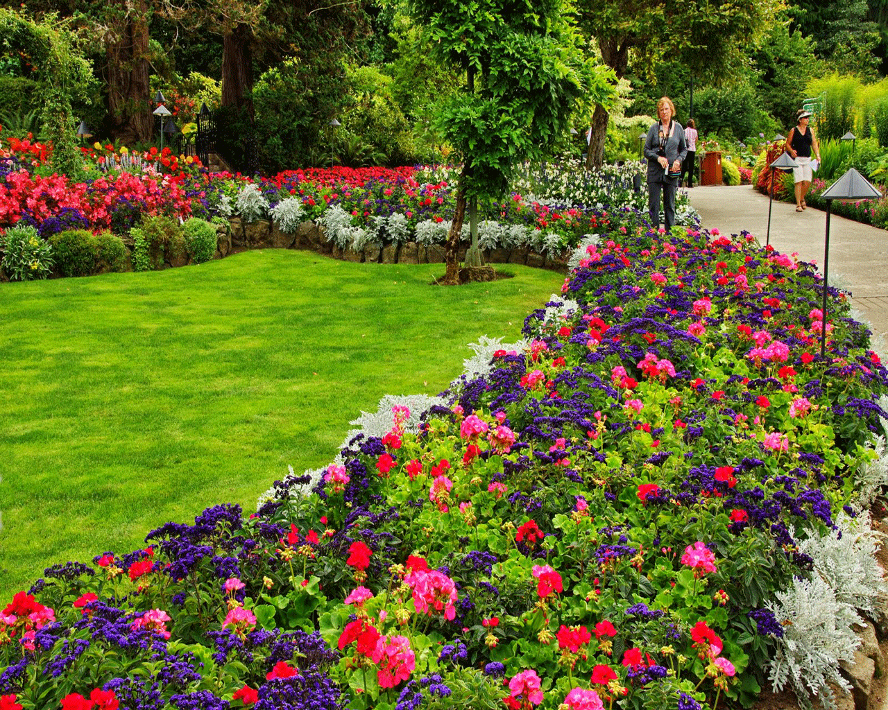 flower garden plans |  get the beauty flower bed design: garden