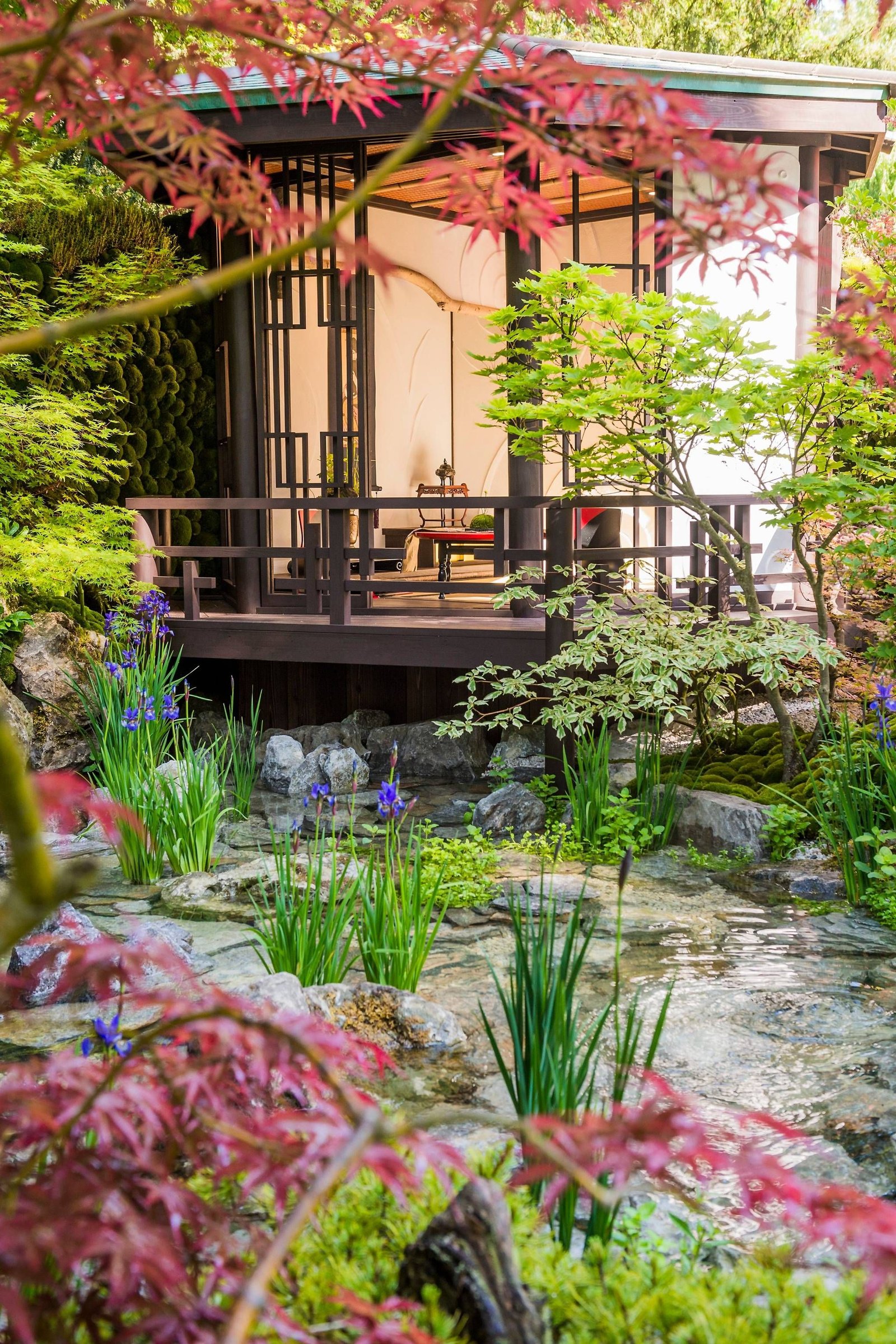 the chelsea flower show 2018 in pictures | chelsea flower show 2018