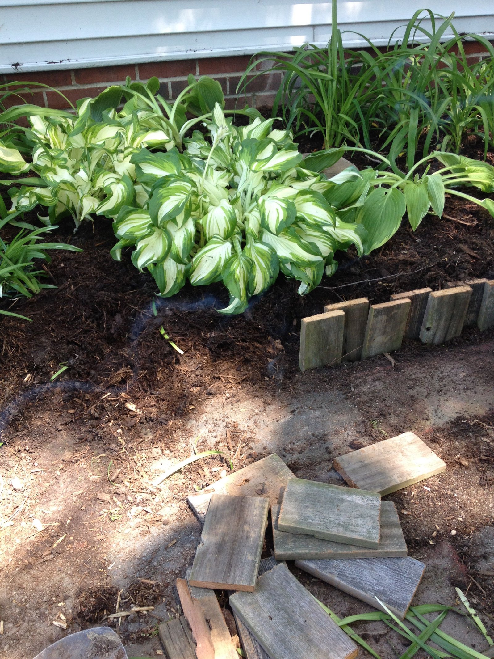 eleven interesting garden bed edging ideas | gardening | garden