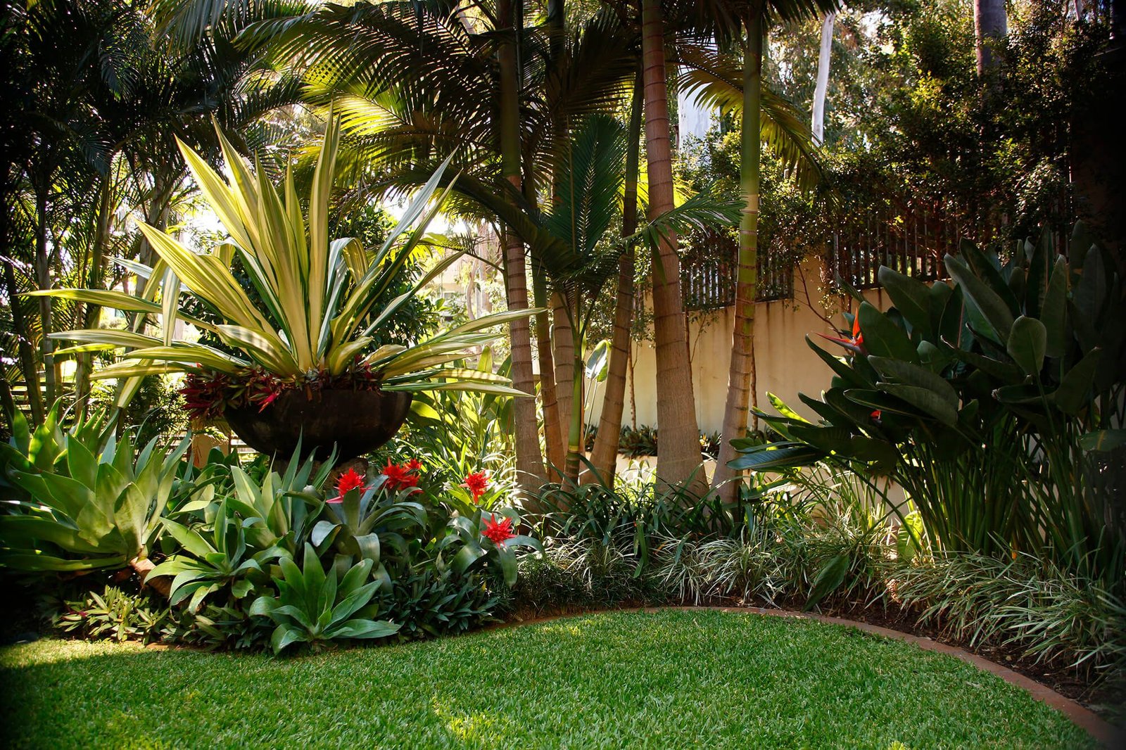 coorparoo tropical feature bowl | small tropical gardens, tropical