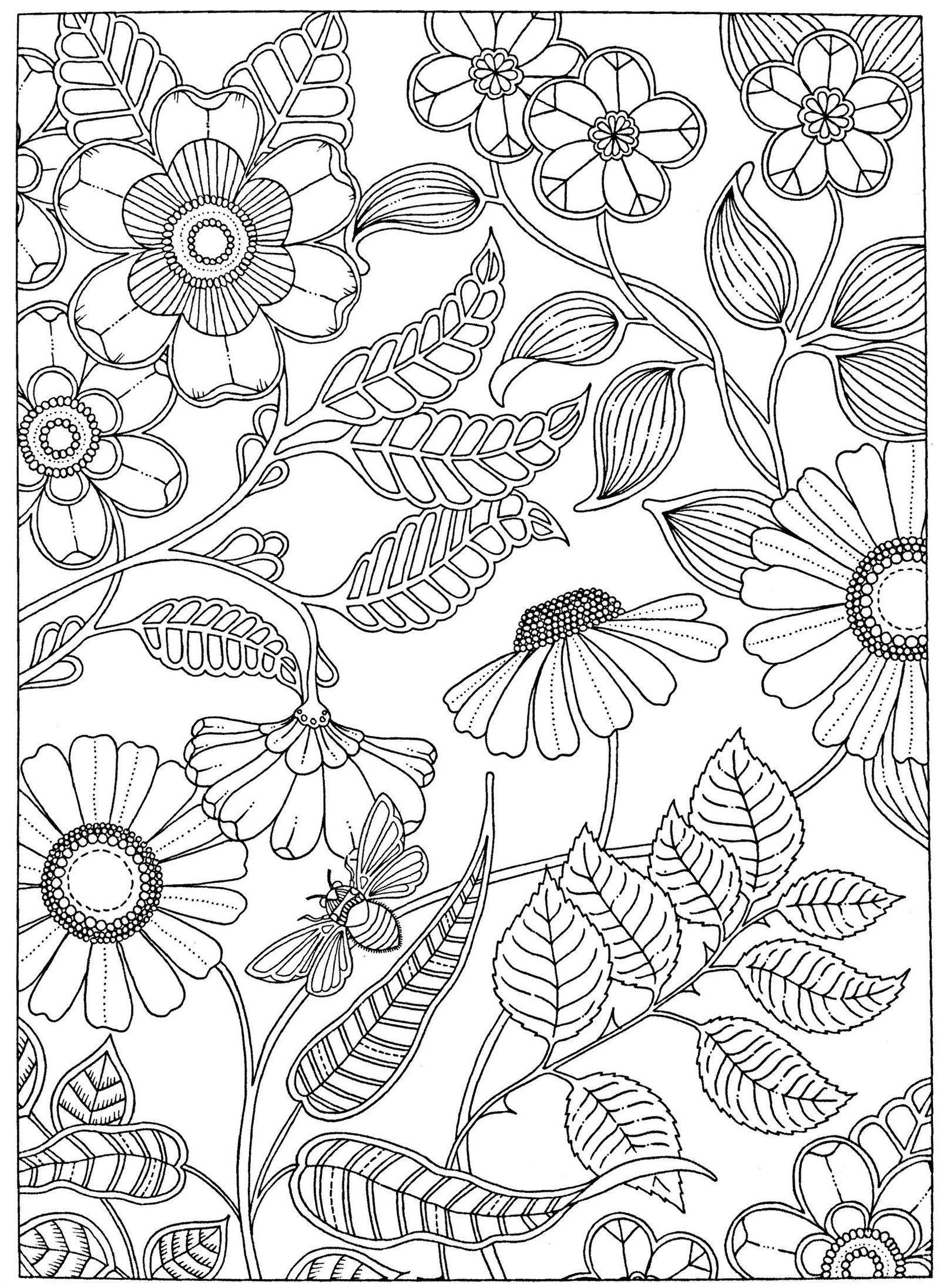 free adult coloring page secret garden | patterns | garden coloring