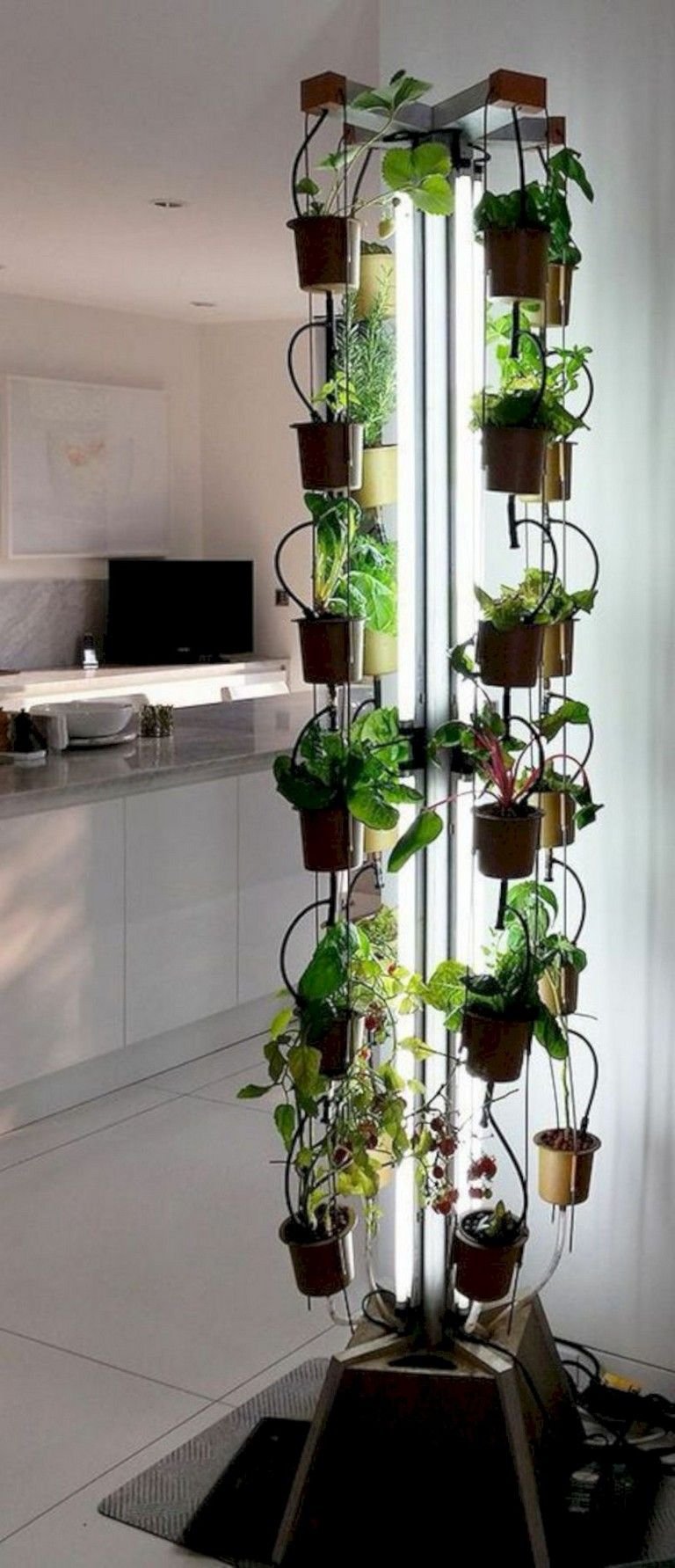 30+ DIY Hydroponic Gardens To Your Small House ...