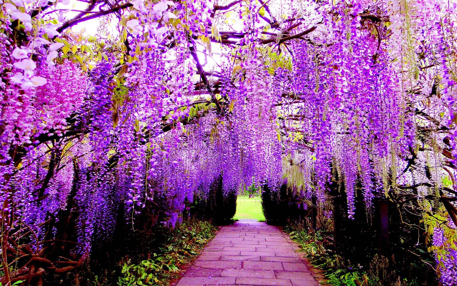 best 20 beautiful japanese flower gardens ideas that you need to see