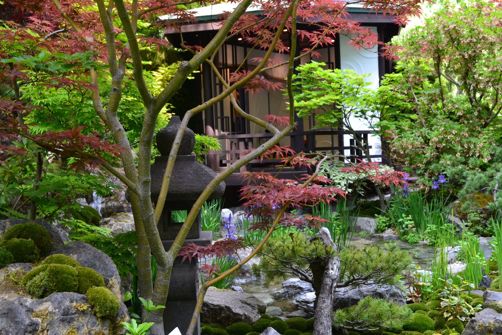 the hospitality garden won a gold artisan garden award at the 2018