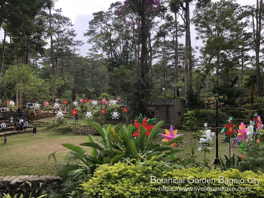 botanical garden of baguio city | asia | baguio city, botanical