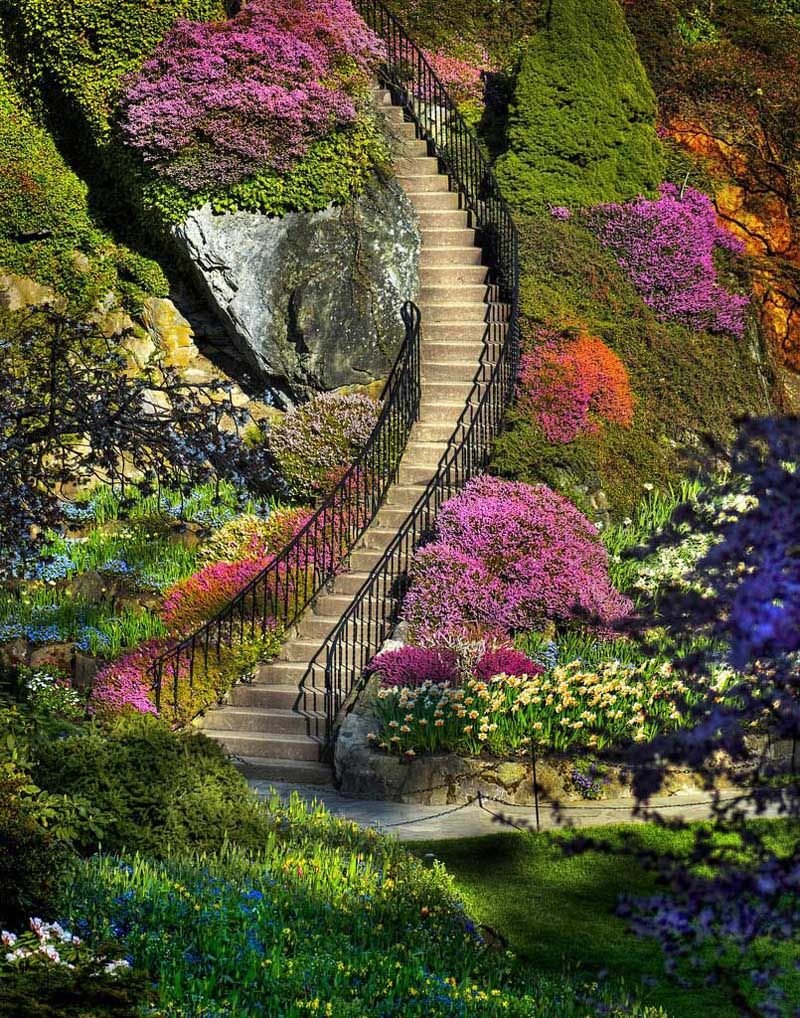 kawachi fuji garden in japan | travel | beautiful gardens, beautiful