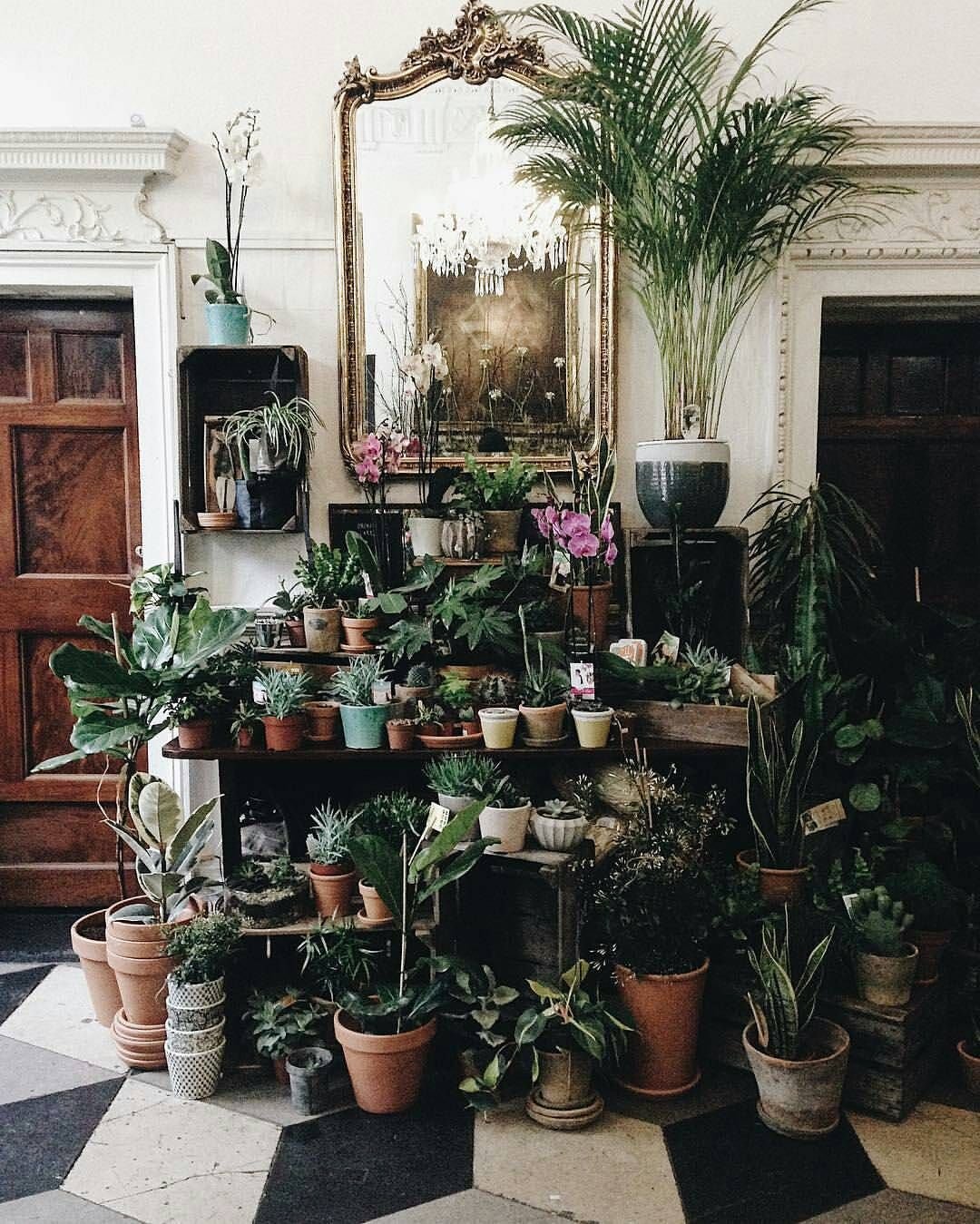 so many beautiful flower shops in dublin !! what's your favorite