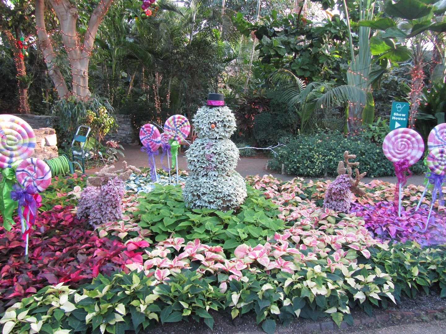 iowa botanical center | flowers, flowers and more flowers