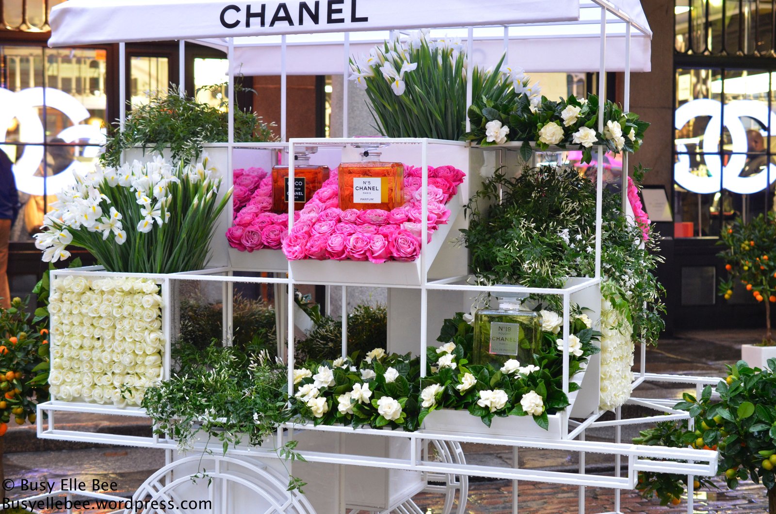 pin by joneschen on pop up shop | flowers, nothing but flowers