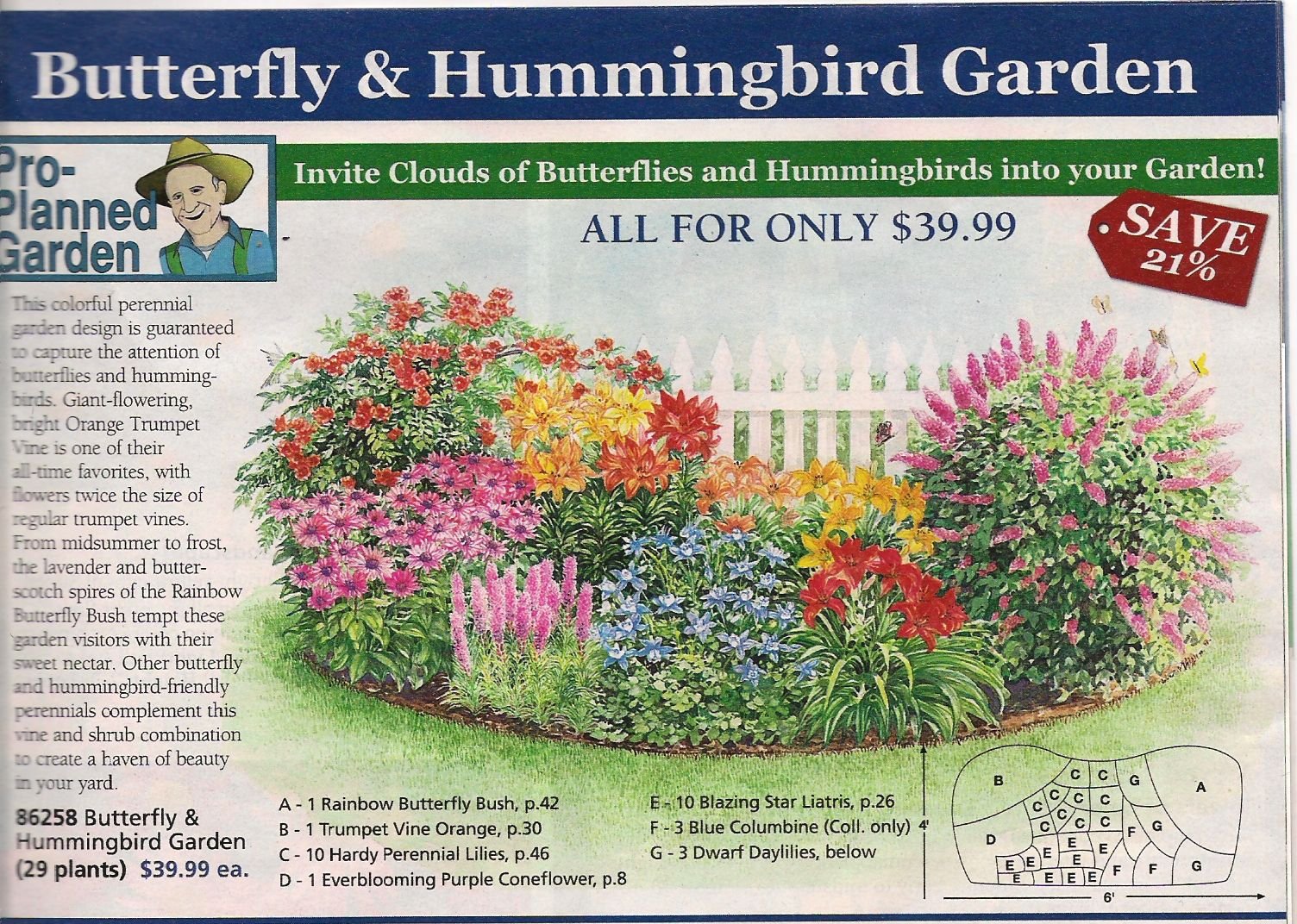 garden plan from michigan bulb co. for a butterfly garden, east