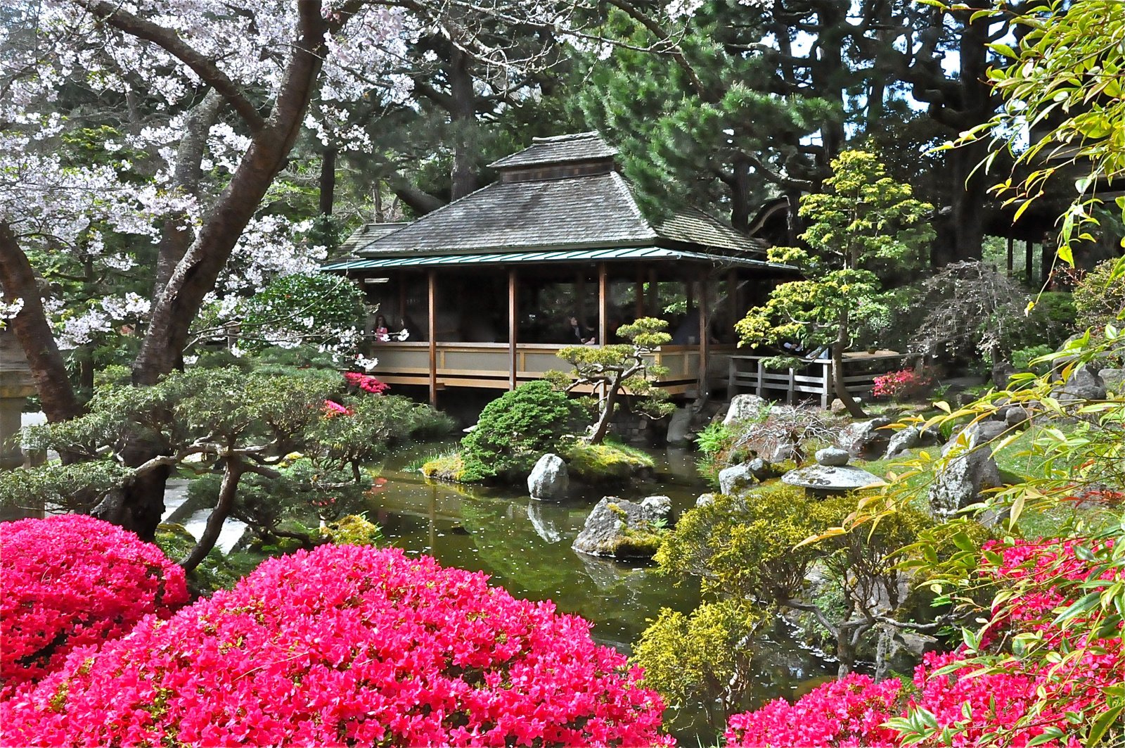 japanese tea garden, golden gate park, san francisco, ca had a