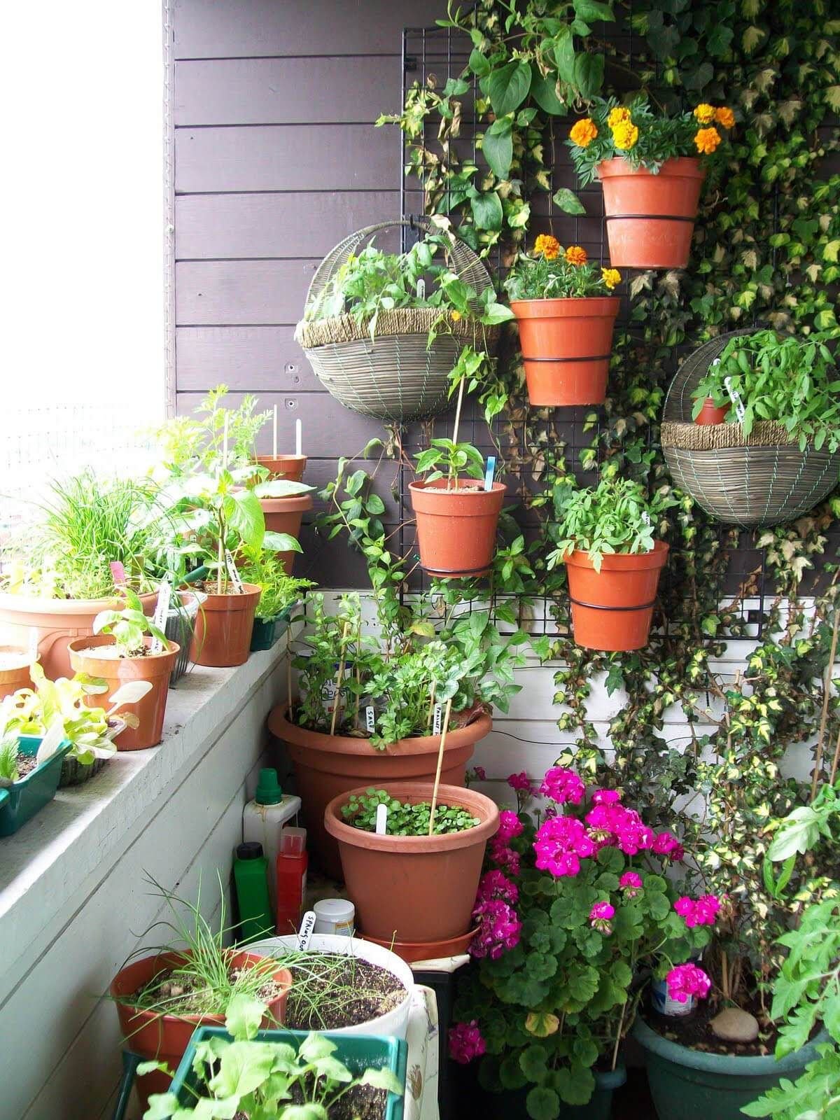50 amazing balcony garden designs & ideas | #{3f} vertical gardening